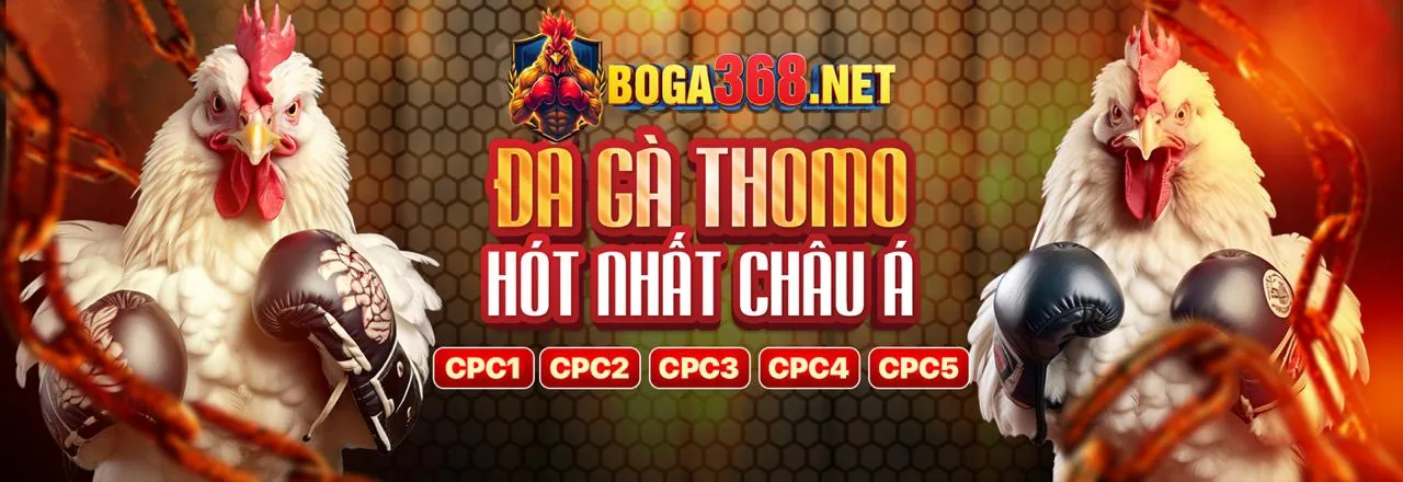 Các loại kèo cược đá gà